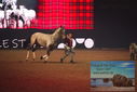 Filename=PT9_2752.JPG
Filesize=325KiB
Dimensions=1224x817
Date added=Mar 11, 2023 PT9_2752.JPG
