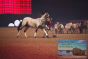 Filename=PT9_2753.JPG
Filesize=310KiB
Dimensions=1224x817
Date added=Mar 11, 2023 PT9_2753.JPG