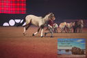 Filename=PT9_2754.JPG
Filesize=302KiB
Dimensions=1224x817
Date added=Mar 11, 2023 PT9_2754.JPG