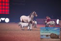 Filename=PT9_2756.JPG
Filesize=318KiB
Dimensions=1224x817
Date added=Mar 11, 2023 PT9_2756.JPG