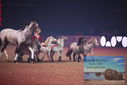 Filename=PT9_2759.JPG
Filesize=312KiB
Dimensions=1224x817
Date added=Mar 11, 2023 PT9_2759.JPG
