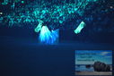 Filename=PT9_2789.JPG
Filesize=393KiB
Dimensions=1224x817
Date added=Mar 11, 2023 PT9_2789.JPG
