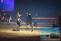 Filename=PT9_2824.JPG
Filesize=278KiB
Dimensions=1224x817
Date added=Mar 11, 2023 PT9_2824.JPG