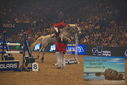 Filename=PT9_2880.JPG
Filesize=382KiB
Dimensions=1224x817
Date added=Mar 11, 2023 PT9_2880.JPG