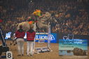 Filename=PT9_2899.JPG
Filesize=346KiB
Dimensions=1224x817
Date added=Mar 11, 2023 PT9_2899.JPG