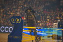 Filename=PT9_2925.JPG
Filesize=322KiB
Dimensions=1224x817
Date added=Mar 11, 2023 PT9_2925.JPG