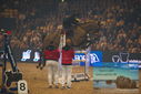 Filename=PT9_2928.JPG
Filesize=332KiB
Dimensions=1224x817
Date added=Mar 11, 2023 PT9_2928.JPG