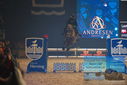 Filename=PT9_2932.JPG
Filesize=327KiB
Dimensions=1224x817
Date added=Mar 11, 2023 PT9_2932.JPG