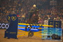 Filename=PT9_2936.JPG
Filesize=380KiB
Dimensions=1224x817
Date added=Mar 11, 2023 PT9_2936.JPG
