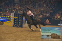 Filename=PT9_2946.JPG
Filesize=430KiB
Dimensions=1224x817
Date added=Mar 11, 2023 PT9_2946.JPG