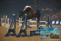 Filename=PT9_2948.JPG
Filesize=344KiB
Dimensions=1224x817
Date added=Mar 11, 2023 PT9_2948.JPG