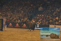Filename=PT9_2955.JPG
Filesize=382KiB
Dimensions=1224x817
Date added=Mar 11, 2023 PT9_2955.JPG