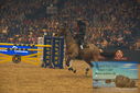 Filename=PT9_2960.JPG
Filesize=418KiB
Dimensions=1224x817
Date added=Mar 11, 2023 PT9_2960.JPG
