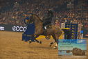 Filename=PT9_2962.JPG
Filesize=348KiB
Dimensions=1224x817
Date added=Mar 11, 2023 PT9_2962.JPG