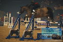 Filename=PT9_2964.JPG
Filesize=292KiB
Dimensions=1224x817
Date added=Mar 11, 2023 PT9_2964.JPG
