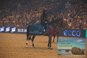 Filename=PT9_2980.JPG
Filesize=383KiB
Dimensions=1224x817
Date added=Mar 11, 2023 PT9_2980.JPG