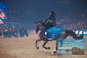 Filename=PT9_2997.JPG
Filesize=299KiB
Dimensions=1224x817
Date added=Mar 11, 2023 PT9_2997.JPG