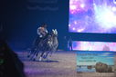 Filename=PT9_3029.JPG
Filesize=282KiB
Dimensions=1224x817
Date added=Mar 11, 2023 PT9_3029.JPG