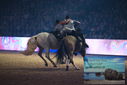 Filename=PT9_3034.JPG
Filesize=316KiB
Dimensions=1224x817
Date added=Mar 11, 2023 PT9_3034.JPG