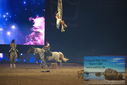 Filename=PT9_3035.JPG
Filesize=281KiB
Dimensions=1224x817
Date added=Mar 11, 2023 PT9_3035.JPG