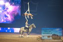 Filename=PT9_3038.JPG
Filesize=350KiB
Dimensions=1224x817
Date added=Mar 11, 2023 PT9_3038.JPG