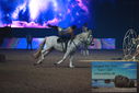 Filename=PT9_3044.JPG
Filesize=294KiB
Dimensions=1224x817
Date added=Mar 11, 2023 PT9_3044.JPG