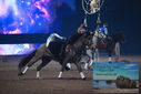 Filename=PT9_3053.JPG
Filesize=279KiB
Dimensions=1224x817
Date added=Mar 11, 2023 PT9_3053.JPG