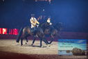Filename=PT9_3067.JPG
Filesize=377KiB
Dimensions=1224x817
Date added=Mar 11, 2023 PT9_3067.JPG