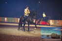 Filename=PT9_3069.JPG
Filesize=388KiB
Dimensions=1224x817
Date added=Mar 11, 2023 PT9_3069.JPG