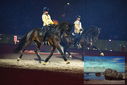 Filename=PT9_3074.JPG
Filesize=343KiB
Dimensions=1224x817
Date added=Mar 11, 2023 PT9_3074.JPG