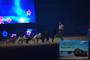 Filename=PT9_3078.JPG
Filesize=216KiB
Dimensions=1224x817
Date added=Mar 11, 2023 PT9_3078.JPG