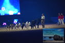 Filename=PT9_3079.JPG
Filesize=287KiB
Dimensions=1224x817
Date added=Mar 11, 2023 PT9_3079.JPG