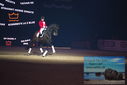 Filename=PT9_3089.JPG
Filesize=261KiB
Dimensions=1224x817
Date added=Mar 11, 2023 PT9_3089.JPG
