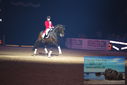 Filename=PT9_3090.JPG
Filesize=293KiB
Dimensions=1224x817
Date added=Mar 11, 2023 PT9_3090.JPG