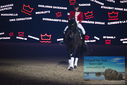 Filename=PT9_3103.JPG
Filesize=287KiB
Dimensions=1224x817
Date added=Mar 11, 2023 PT9_3103.JPG