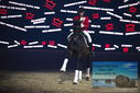 Filename=PT9_3104.JPG
Filesize=334KiB
Dimensions=1224x817
Date added=Mar 11, 2023 PT9_3104.JPG