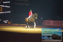 Filename=PT9_3106.JPG
Filesize=309KiB
Dimensions=1224x817
Date added=Mar 11, 2023 PT9_3106.JPG