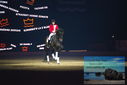Filename=PT9_3124.JPG
Filesize=260KiB
Dimensions=1224x817
Date added=Mar 11, 2023 PT9_3124.JPG