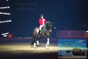 Filename=PT9_3127.JPG
Filesize=294KiB
Dimensions=1224x817
Date added=Mar 11, 2023 PT9_3127.JPG