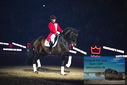 Filename=PT9_3133.JPG
Filesize=278KiB
Dimensions=1224x817
Date added=Mar 11, 2023 PT9_3133.JPG