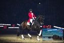 Filename=PT9_3136.JPG
Filesize=288KiB
Dimensions=1224x817
Date added=Mar 11, 2023 PT9_3136.JPG