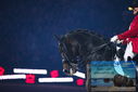 Filename=PT9_3137.JPG
Filesize=274KiB
Dimensions=1224x817
Date added=Mar 11, 2023 PT9_3137.JPG