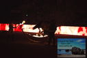 Filename=PT9_3150.JPG
Filesize=202KiB
Dimensions=1224x817
Date added=Mar 11, 2023 PT9_3150.JPG