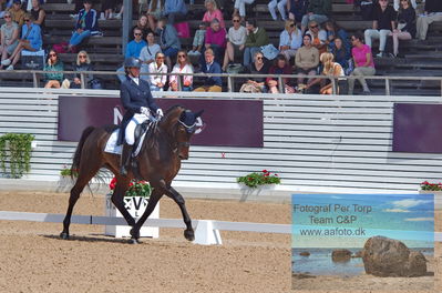 2023 CDI1 PSG - Prix St-Georges
Keywords: pt;rebecca cohen;jameson