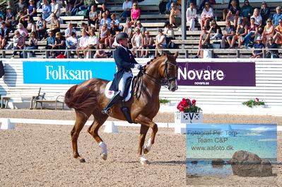 2023 CDI3 GP - Grand Prix (GP) by Hannell & Brink
Keywords: pt;joackim thomsen;vichy pax