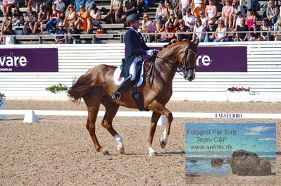 2023 CDI3 GP - Grand Prix (GP) by Hannell & Brink
Keywords: pt;joackim thomsen;vichy pax