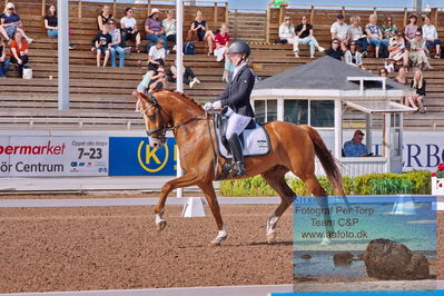 2023 Folksam Open 6-åriga hästar | Semifinal
Keywords: pt;june ranita mevil björnvik;ringbos znapchat