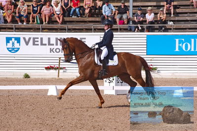 2023 cdi3 grandprix kür
Keywords: pt;emma jönsson;gerion