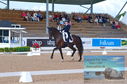 Filename=DSC_5834.JPG
Filesize=455KiB
Dimensions=1229x814
Date added=Jul 18, 2023 DSC_5834.JPG
