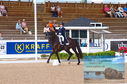 Filename=DSC_5846.JPG
Filesize=482KiB
Dimensions=1229x814
Date added=Jul 18, 2023 DSC_5846.JPG